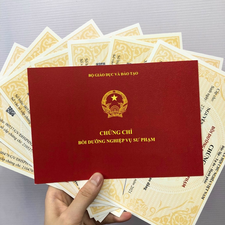 chung-chi-nghiep-vu-su-pham