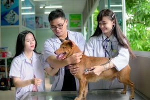 đại học thú y